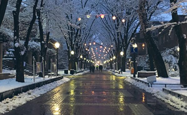 evening on Locust Walk with snow and lights